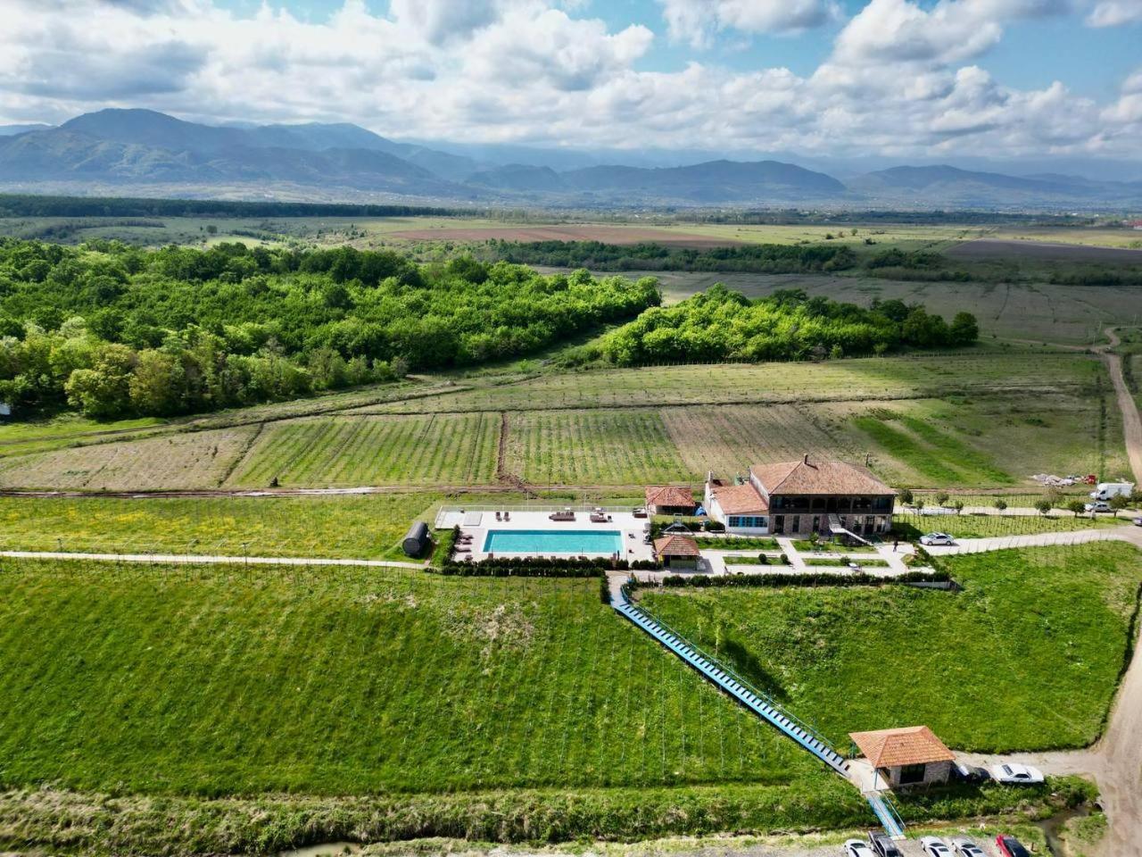 Chateau Vartsikhe Eksteriør bilde